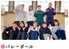 ●バレーボール
