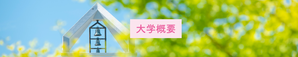 大学概要