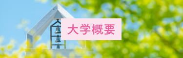 大学概要